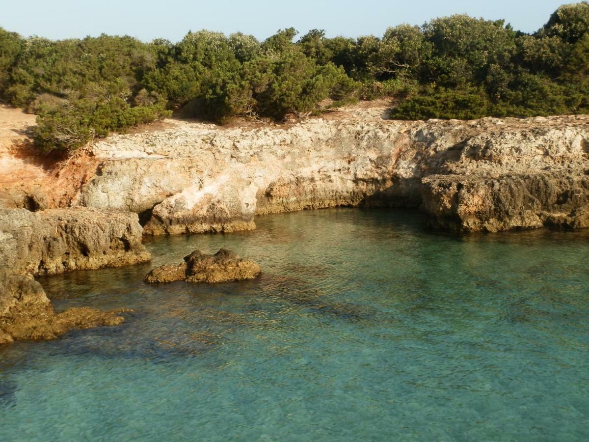 Il Fico D'India Dell'Antico Orto Villa Ostuni Exteriör bild
