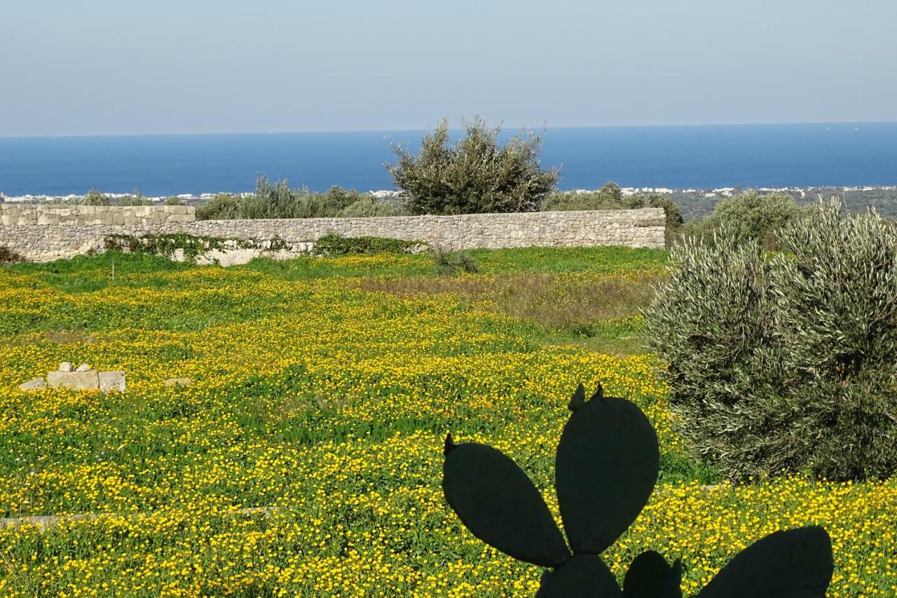 Il Fico D'India Dell'Antico Orto Villa Ostuni Exteriör bild